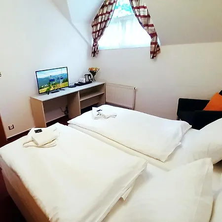 호텔 Hradec