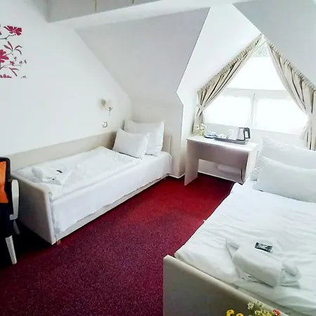 호텔 Hradec 3*