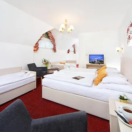 Hradec Hotell 3*