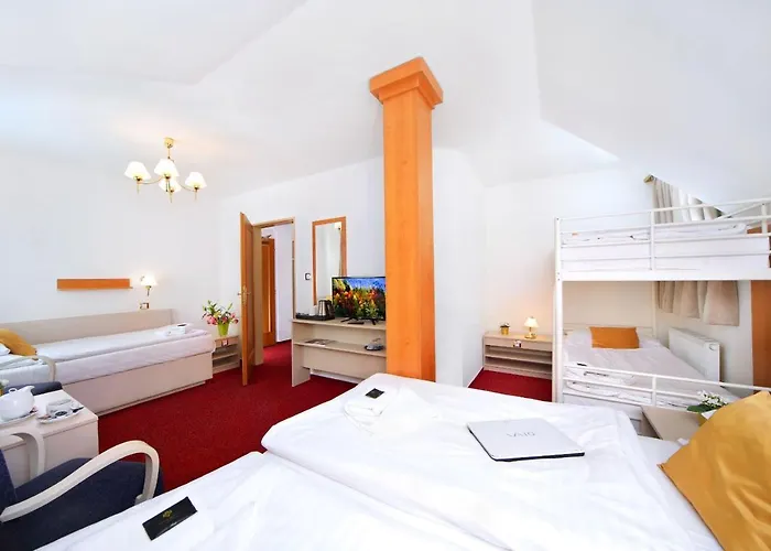 赫拉德茨酒店 3* Špindlerŭv Mlýn